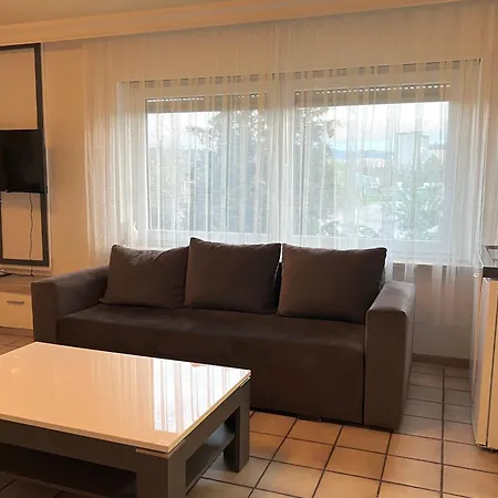 Apartment Rheinbruecke Living