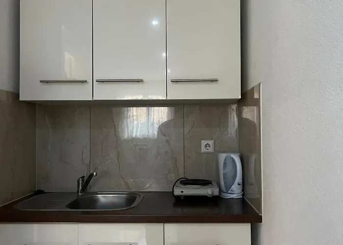 公寓 Rheinbruecke Living